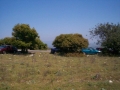 2008_1maiou_agia_koriDCP04610