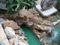 2009sxeknauplioDCP07297