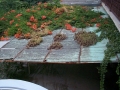 2009sxeknauplioDCP07313
