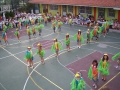 2011sxtelikDCP09459