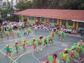 2011sxtelikDCP09462
