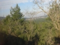 20150301_092925.jpg