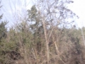 20150301_093117.jpg