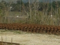 20150301_093250.jpg