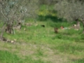 DSCN3857.JPG