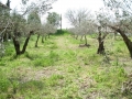 DSCN3862.JPG