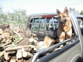 DSCN3906.JPG