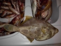 DSCN5617.JPG
