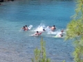 IMG_20160713_164230.jpg