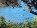 IMG_20160713_164451.jpg