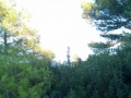 IMG_20160713_193131.jpg