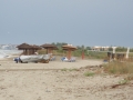 DSCN2113