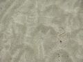 DSCN2120
