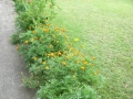 DSCN2139