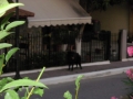 DSCN5054.JPG
