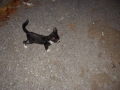 DSCN5057.JPG