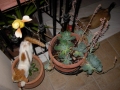 DSCN5093.JPG