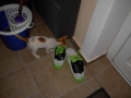 DSCN5098.JPG