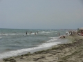 DSCN5166.JPG