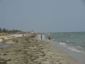 DSCN5167.JPG