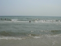 DSCN5168.JPG