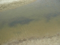 DSCN5175.JPG