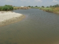 DSCN5176.JPG