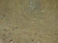 DSCN5182.JPG