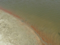 DSCN5190.JPG