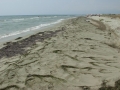 DSCN5196.JPG