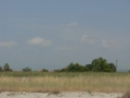 DSCN5205.JPG