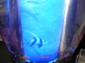 DSCN3402.JPG