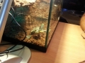 20150826_213924.jpg