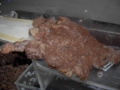 DSCN5381.JPG