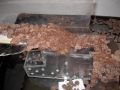 DSCN5389.JPG