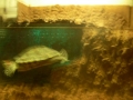 DSCN5473.JPG