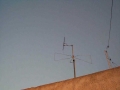 DCP00517