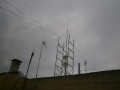 P6039974
