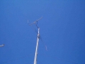 sv1cimpetaloudaDCP00512