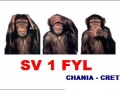 sv1fylSV1FYL_QSL_CARD