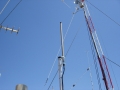 DSC00242